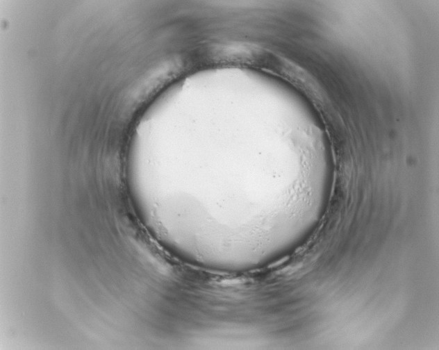 X0000088640729200706151942