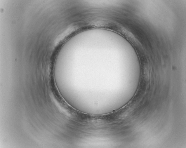 X0000088640730200706151942