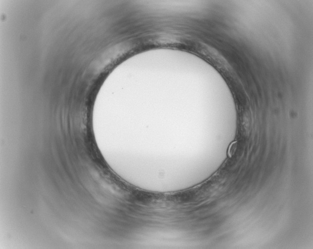 X0000088640732200706151942