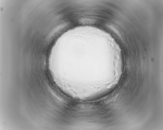 X0000088640733200706151942