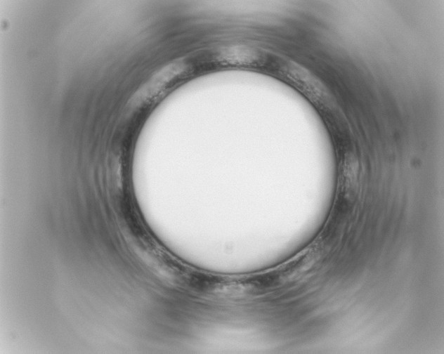 X0000088640734200706151942