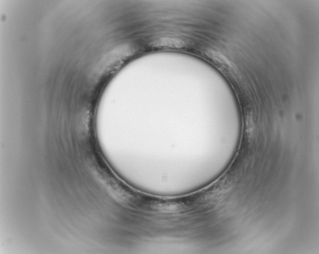 X0000088640735200706151942