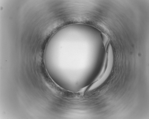 X0000088640736200706151942