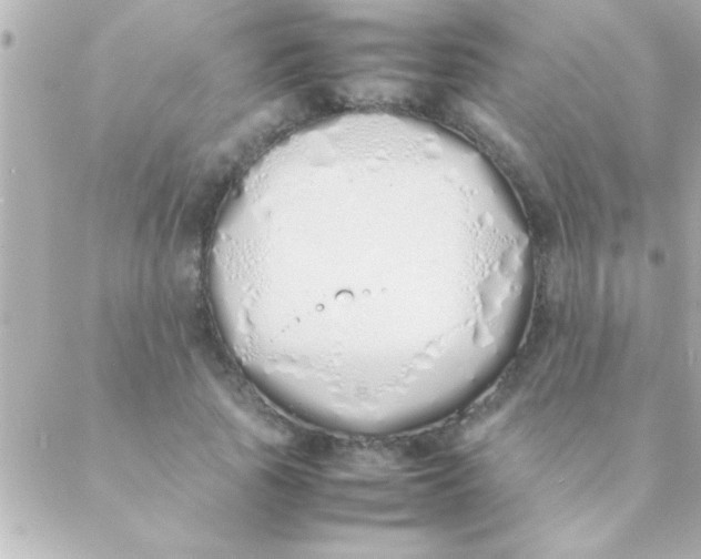 X0000088640737200706151942