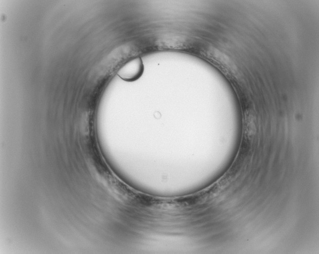 X0000088640738200706151942