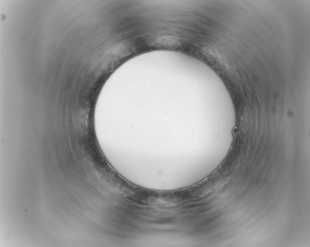 X0000088640739200706151942