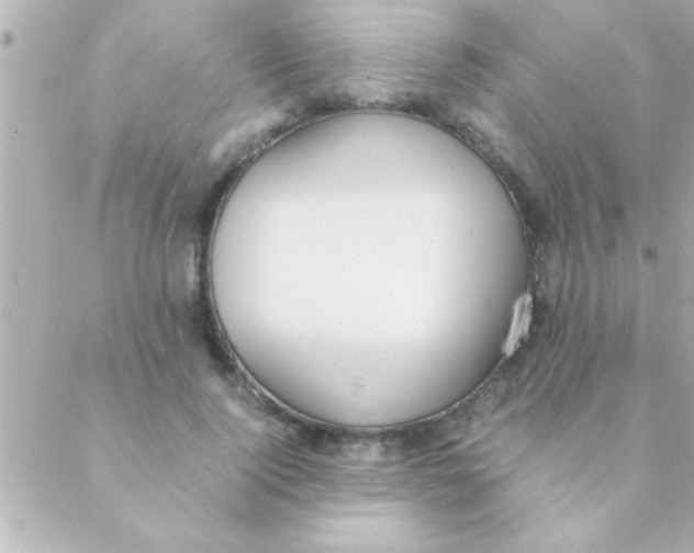 X0000088640740200706151942