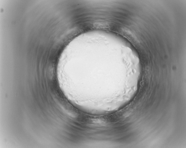 X0000088640741200706151942