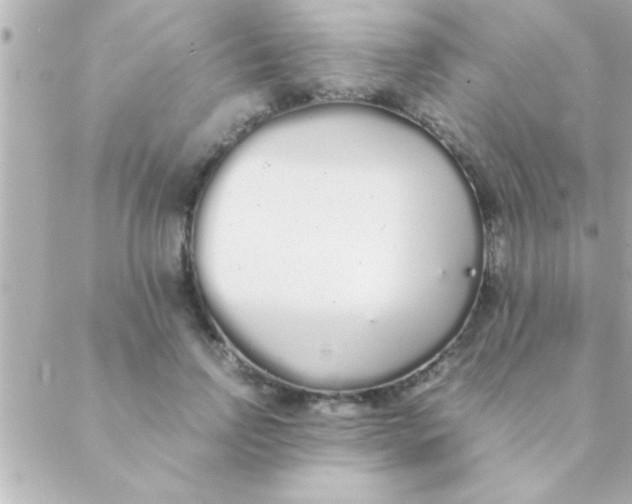 X0000088640742200706151942