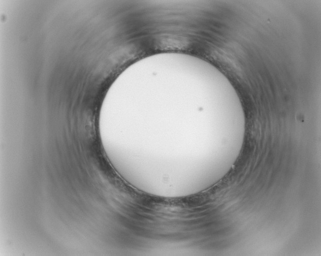 X0000088640743200706151942