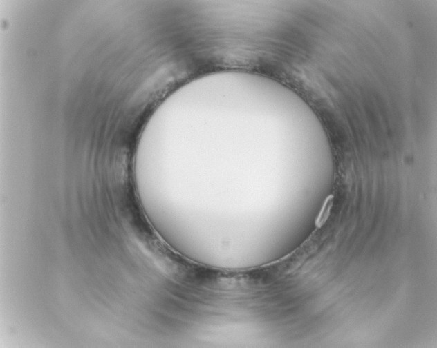 X0000088640744200706151942