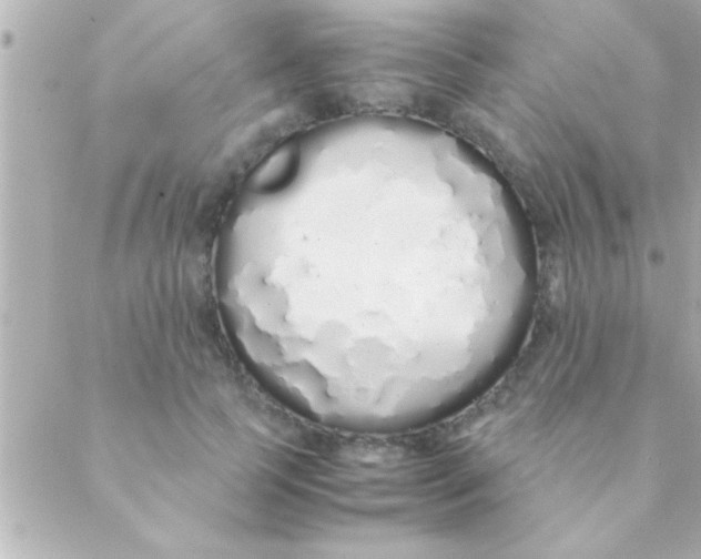 X0000088640745200706151942