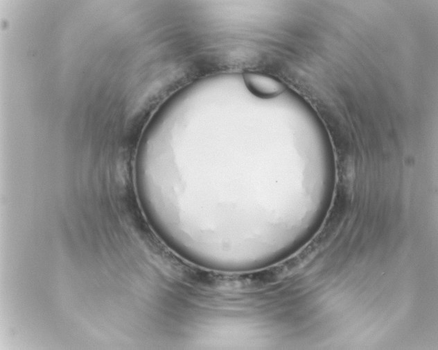 X0000088640746200706151942