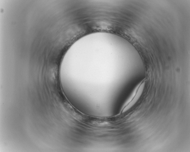 X0000088640747200706151942