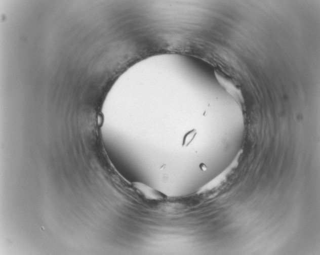 X0000088640748200706151942