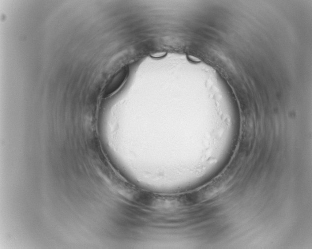 X0000088640749200706151942