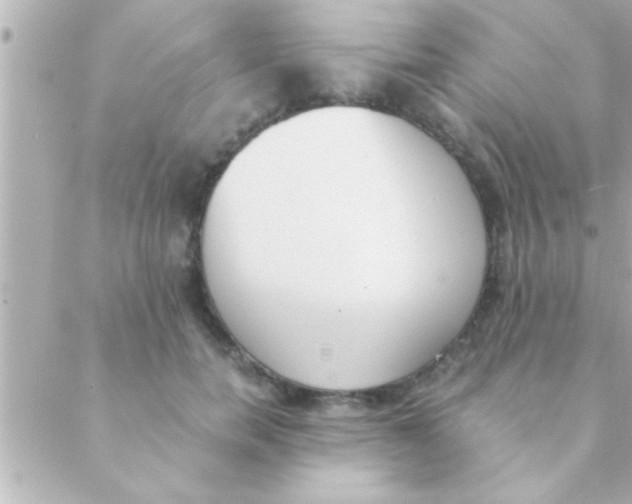 X0000088640750200706151942