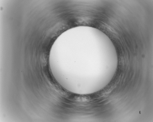 X0000088640751200706151942