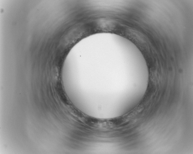 X0000088640752200706151942