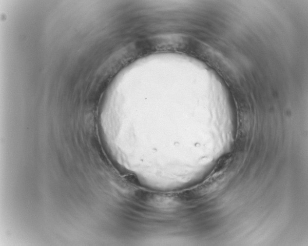 X0000088640753200706151942