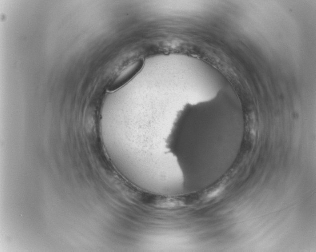 X0000088640754200706151942