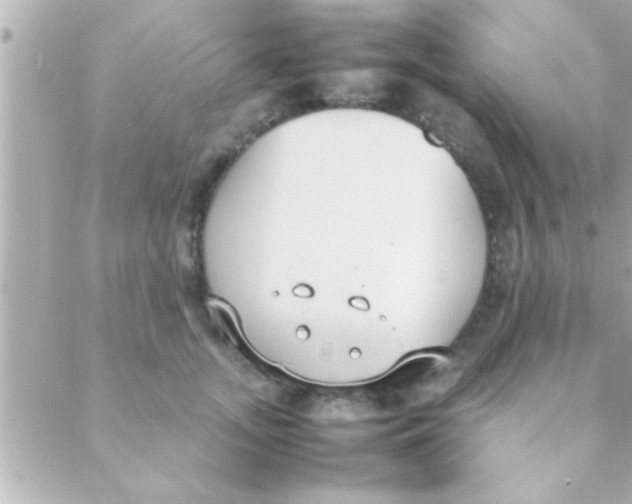 X0000088640755200706151942