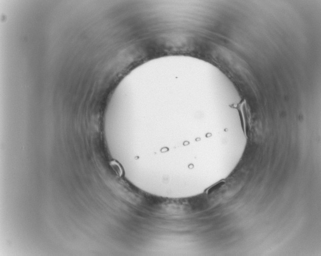 X0000088640756200706151942