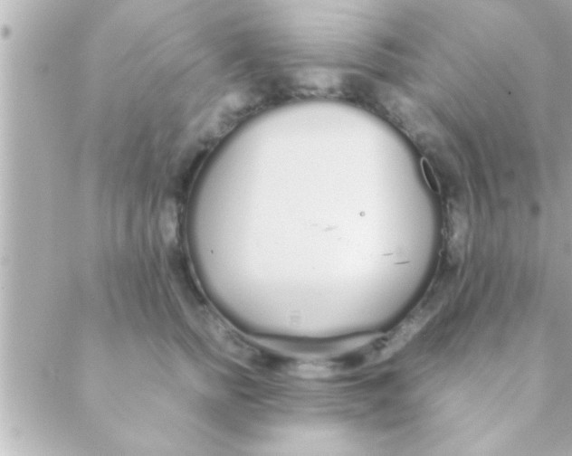 X0000088640758200706151942