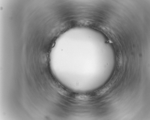 X0000088640759200706151942