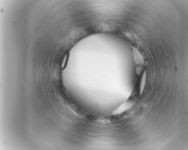 X0000088640760200706151942