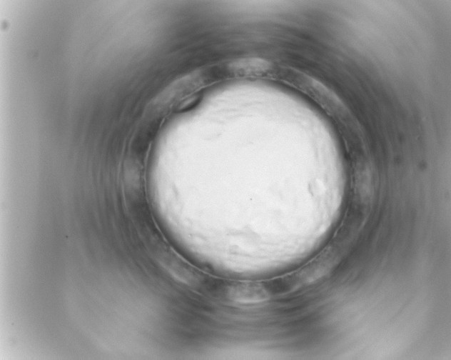 X0000088640761200706151942