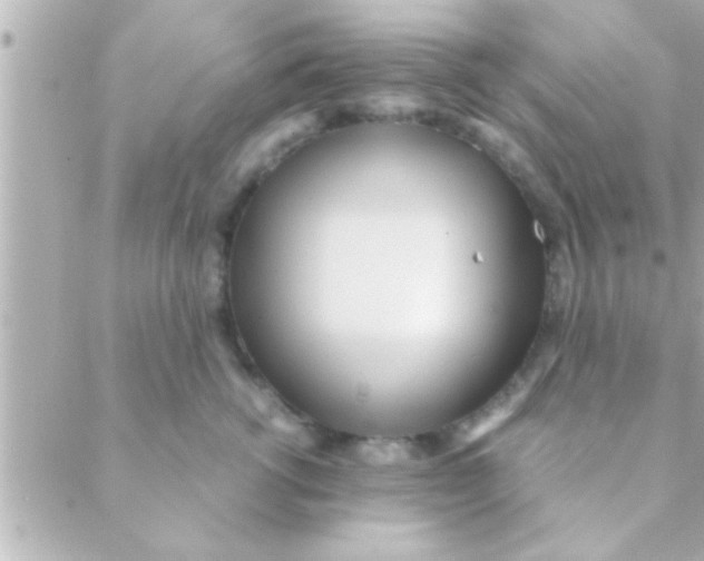 X0000088640762200706151942