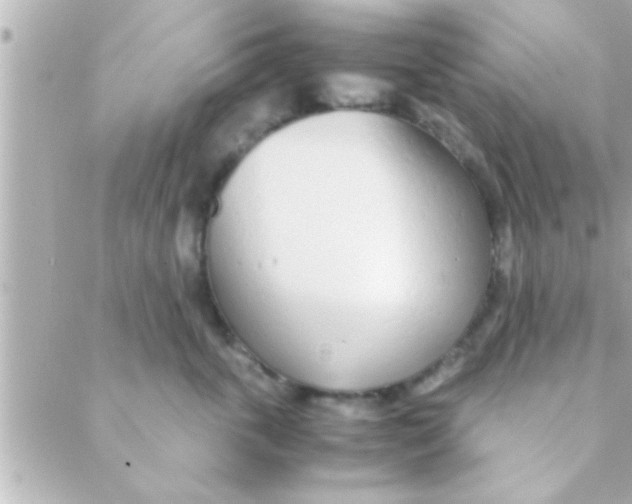 X0000088640763200706151942