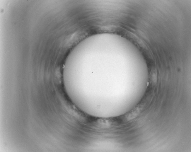 X0000088640764200706151942