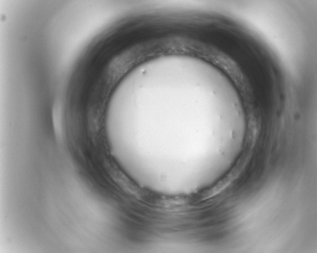 X0000088640765200706151942