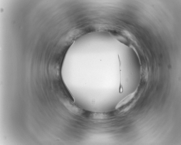 X0000088640766200706151942