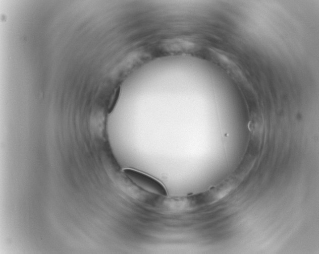 X0000088640767200706151942