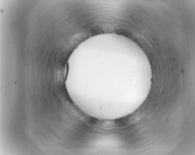 X0000088640768200706151942