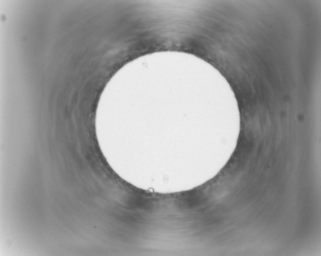 X0000088640769200706151941