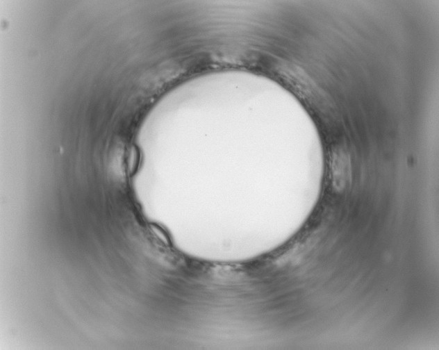 X0000088640770200706151941