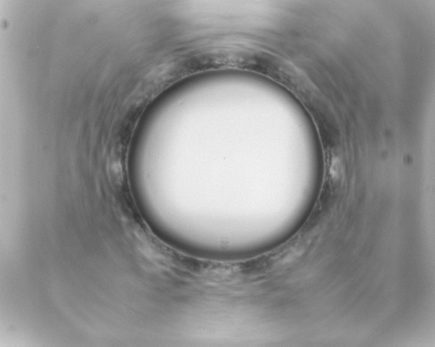 X0000088640771200706151941