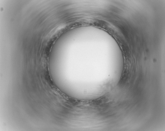 X0000088640773200706151941