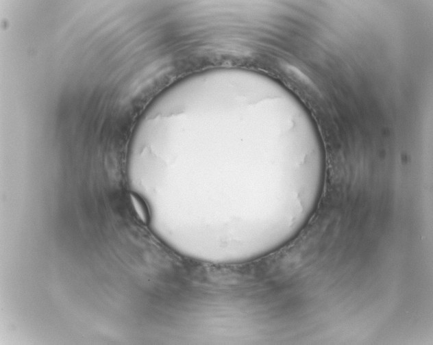 X0000088640774200706151941