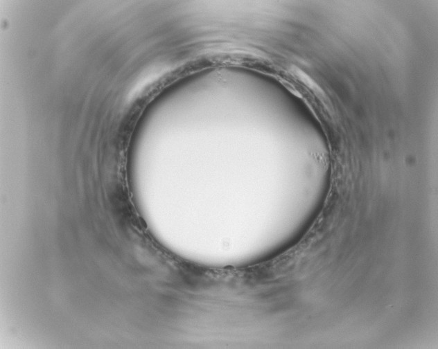 X0000088640775200706151941