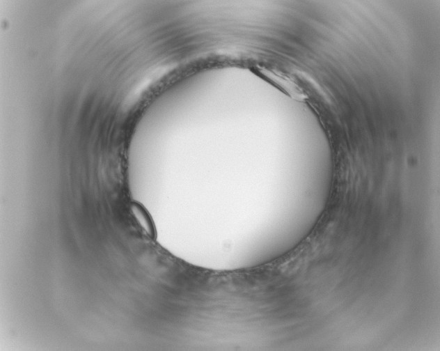 X0000088640776200706151941