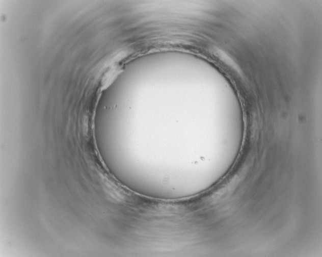 X0000088640777200706151941