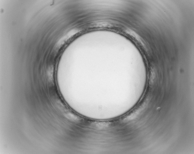 X0000088640778200706151941