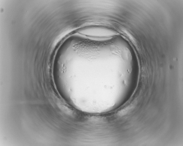 X0000088640779200706151941