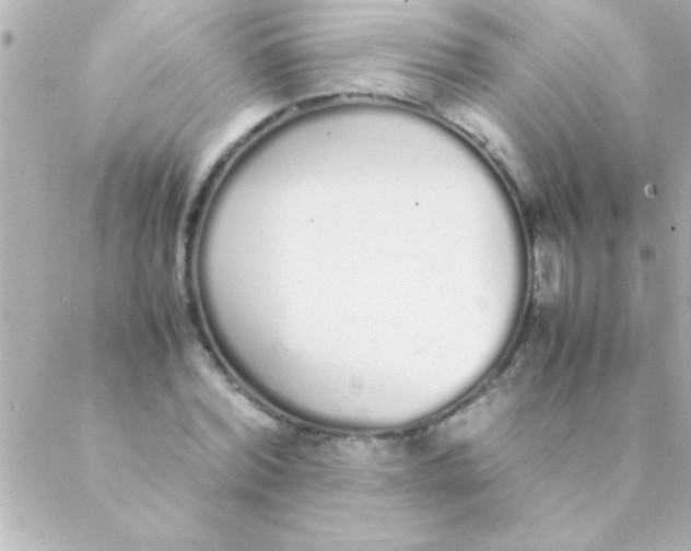 X0000088640780200706151941