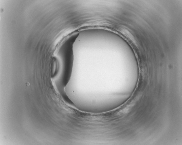 X0000088640781200706151941